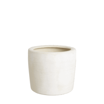 Gr.orch.pot D18 MIMOSA