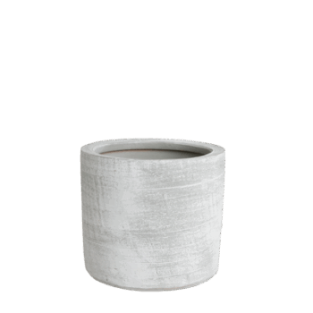 Gr.orch.pot D18 MIMOSA