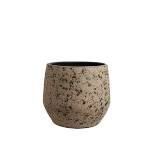 Gr.orch.pot D20 ARGAN