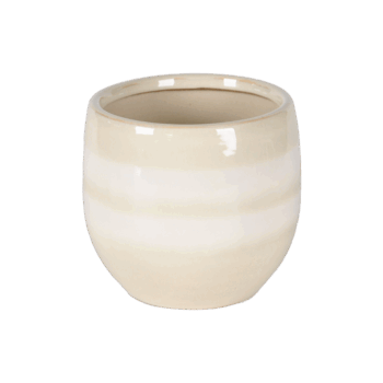 Gr.orch.pot D17 SAFFRON