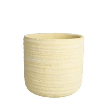 Gr.orch.pot D17 PRIMROSE