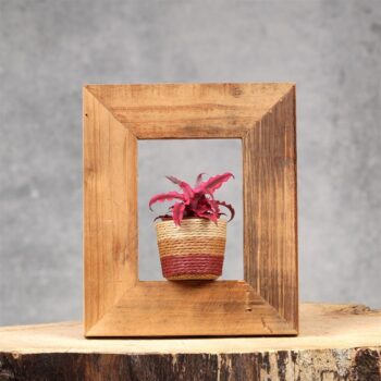 Wood Frame Basket