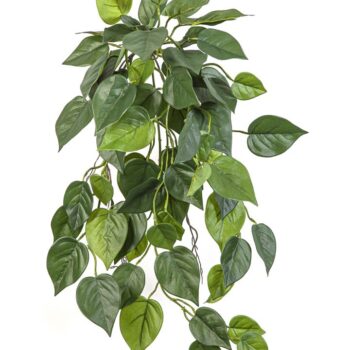 Flame retardant philo hanging bush
