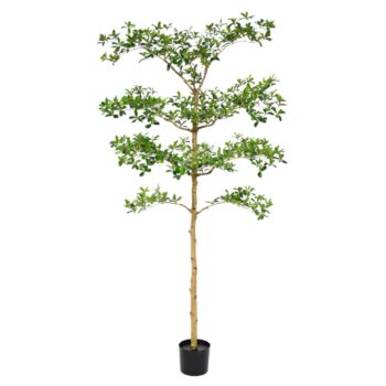 Bucida Buceras Kunstboom  NT groen