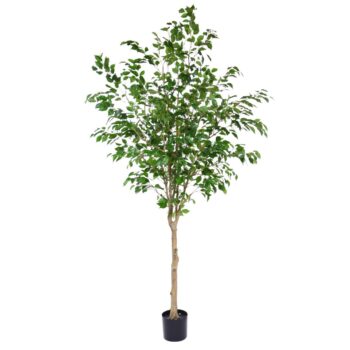 Ficus Exotica Kunstboom op stam