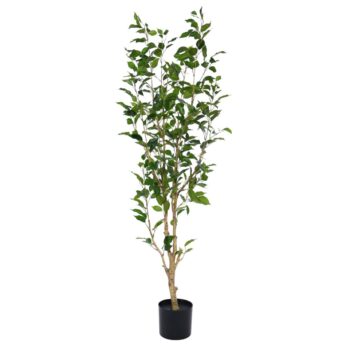 Ficus Exotica Kunstplant NT