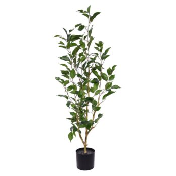 Ficus Exotica Kunstplant NT