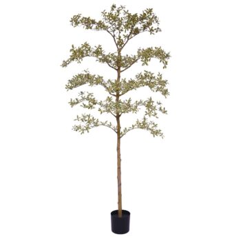 Bucida Buceras Kunstboom  NT bont