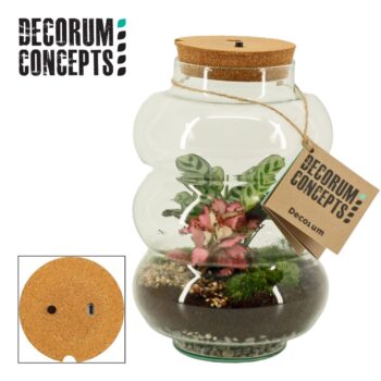 Terrarium Pluto medium met oplaadbare led (Decorum concepts)