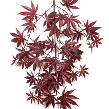 Flame retardant maple spray red