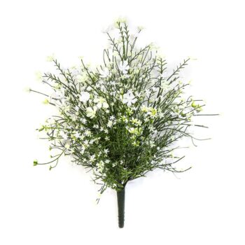 Gypsophila bush cream - uv