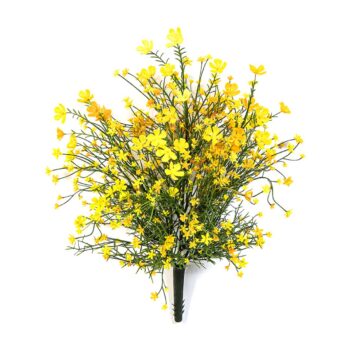 Gypsophila bush yellow - uv