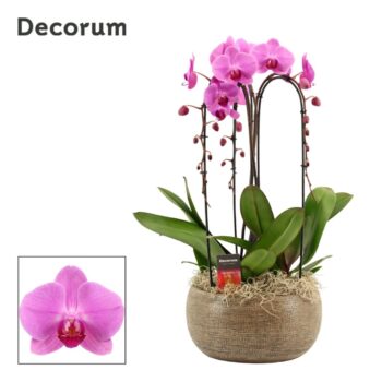 Bianca cascade 3 tak symphony pink (Deco-collection)