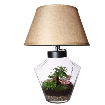 Terrarium Victoria + lamp (Decorum concepts)