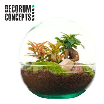 Terrarium Earth medium (Decorum concepts)