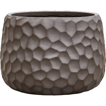 Baq Tortuga Darcy Chocolate Brown