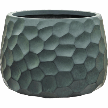 Baq Tortuga Darcy Forest Green