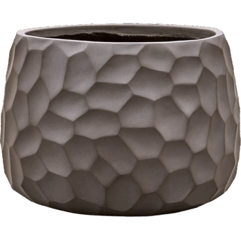 Baq Tortuga Darcy Chocolate Brown