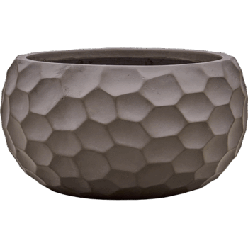 Baq Tortuga Globe Chocolate Brown