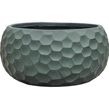 Baq Tortuga Globe Forest Green