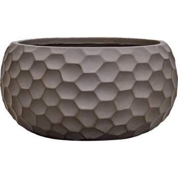 Baq Tortuga Globe Chocolate Brown