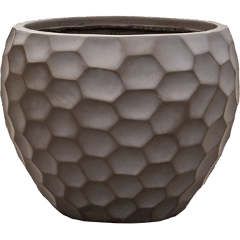 Baq Tortuga Couple Chocolate Brown