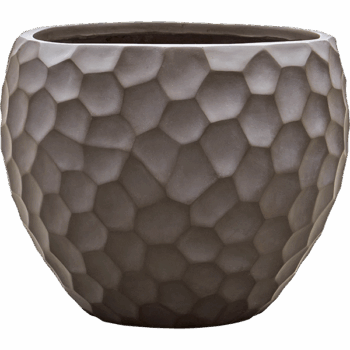 Baq Tortuga Couple Chocolate Brown