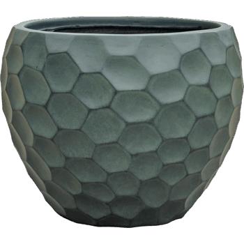 Baq Tortuga Couple Forest Green