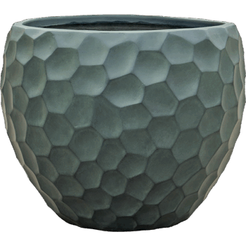 Baq Tortuga Couple Forest Green