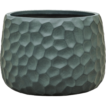 Baq Tortuga Darcy Forest Green