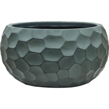 Baq Tortuga Globe Forest Green