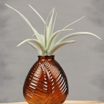 Vase Leaf S