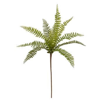 Boston Varen Kunsttak