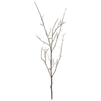Twijgen kunst tak  bruin