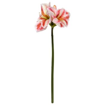 Amaryllis Kunstbloem  Wit Rood