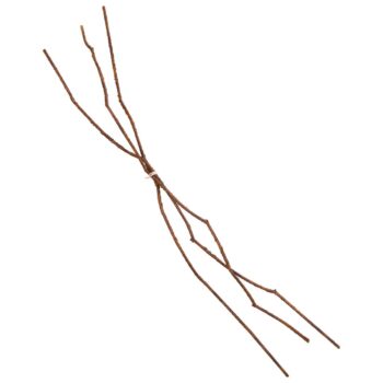 Takkenbundel kunst  bruin