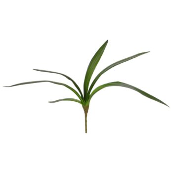 Cymbidium kunst blad