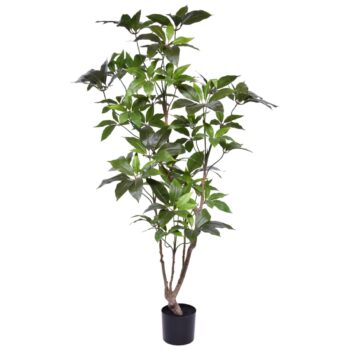 Schefflera Kunstboom