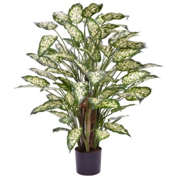 Dieffenbachia Kunstplant  Deluxe