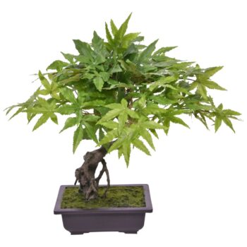 Acer Kunst Bonsai  groen