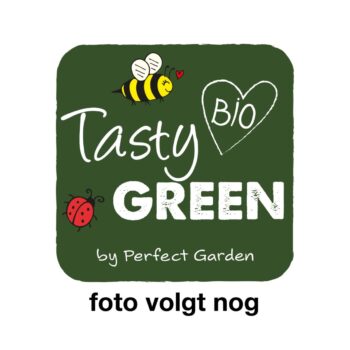 Vaccinium corymbosum 'Rubel' Bio P19