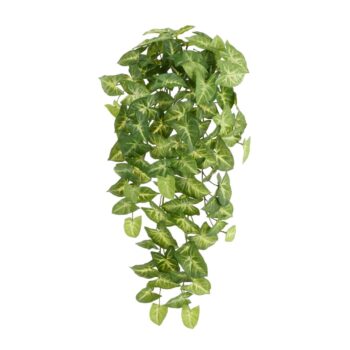 Syngonium Arrow Kunst Hangplant