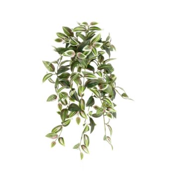 Tradescantia bont Kunst hangplant