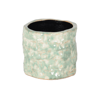 Gr.orch.pot D17 REEF