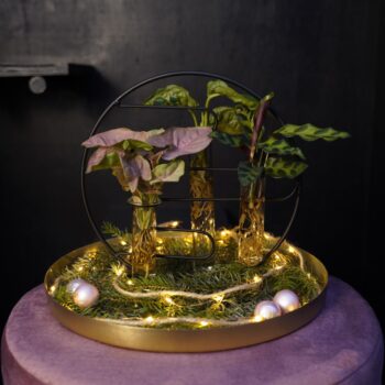 Christmas | Intenz mix in Dubai 2.0 glas - levertijd: 24 uur