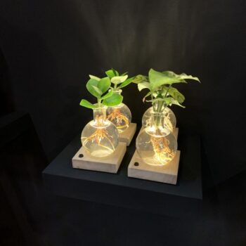 Christmas | Mix in Samoa glas + LED - levertijd: 24 uur