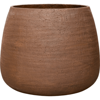 African Violet Focus 300 ml