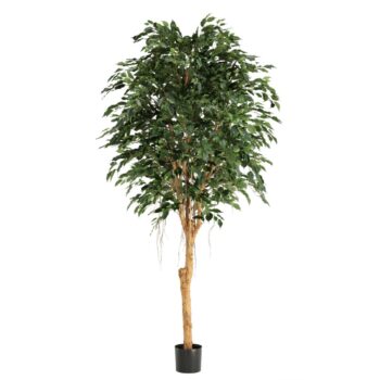 Ficus Exotica Kunstboom Deluxe  groen