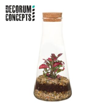 Terrarium Kalypso (Decorum concepts)