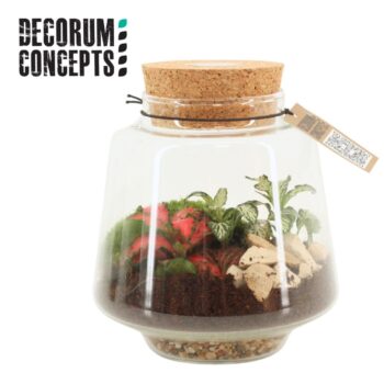 Terrarium Mercurius Small (Decorum concepts)